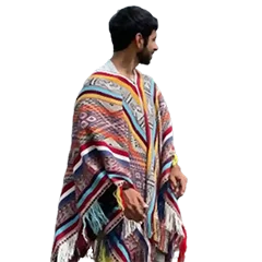 Saeed Alshamsi